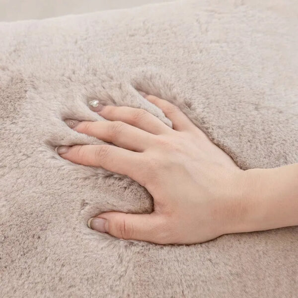 c9c58b99-41a9-4006-938b-84f11a479a0d_800x800.jpg Plush Pillowcase for Bed Pillow or Sofa Cushion